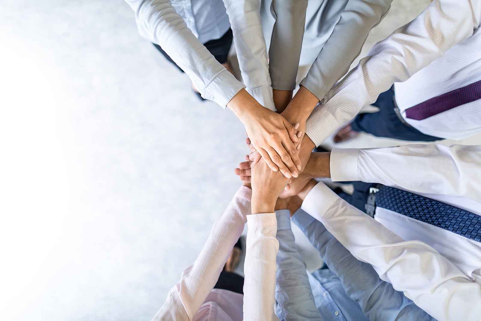 seguro vida empresas finanzas Hernández Martínez